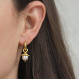 White Pearl Earring Charms With Granulated Cap