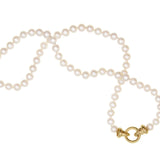 17" "Serena" Clasp Necklace With 6 to 6.5mm Freshwater Pearls